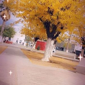 Meet your Posher, Thalia